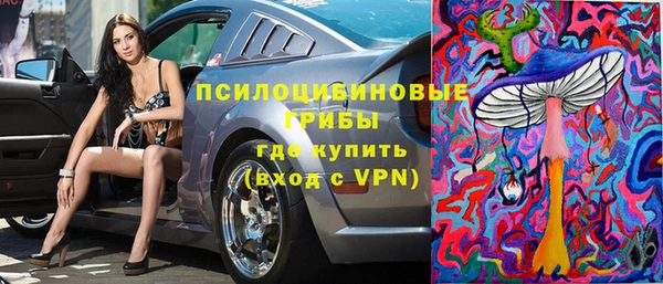 метадон Михайлов