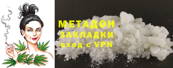 прущие грибы Михайловск