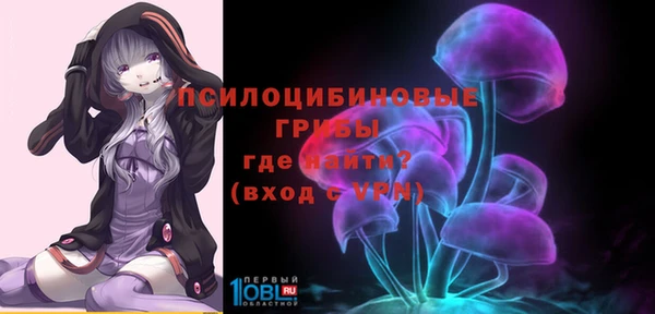 прущие грибы Михайловск