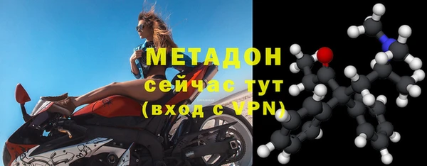 прущие грибы Михайловск
