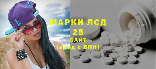 прущие грибы Михайловск