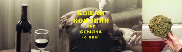прущие грибы Михайловск