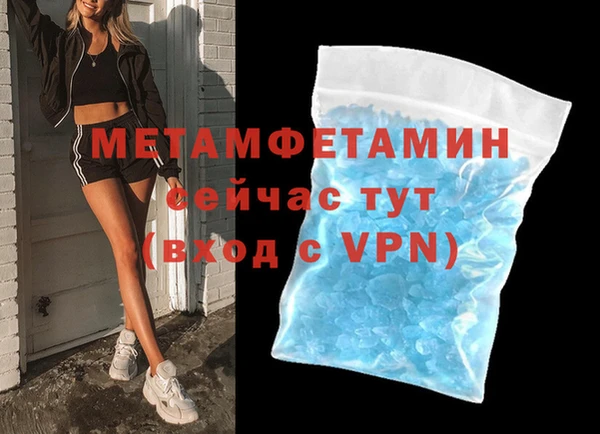 прущие грибы Михайловск