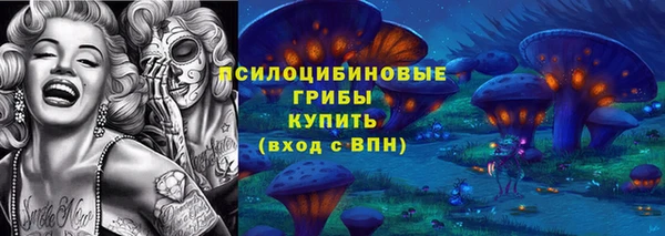 apvp Медвежьегорск
