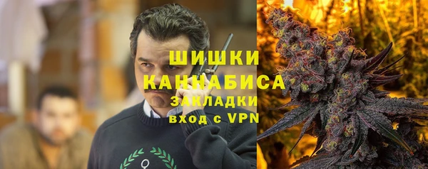 прущие грибы Михайловск