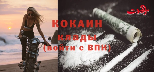 прущие грибы Михайловск