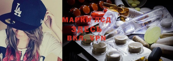 прущие грибы Михайловск