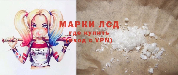 прущие грибы Михайловск