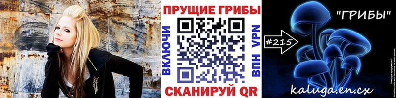 где купить наркоту  Кирс  Псилоцибиновые грибы Psilocybe 